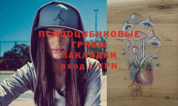 гидропоника Арсеньев