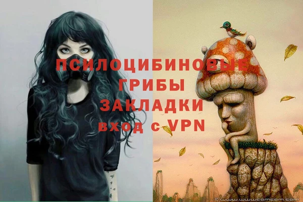 гидропоника Арсеньев
